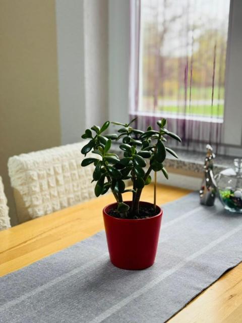 Apartments Paradise Licko Petrovo Selo Экстерьер фото