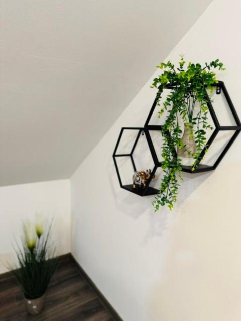Apartments Paradise Licko Petrovo Selo Экстерьер фото